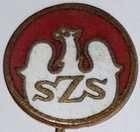 The School Sports Association