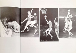 The Demon of Ivo Daneu (Slovenia)