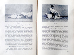 Jiu-Jitsu. Handbook (Twenties)
