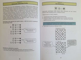 Three steps into the chess world. Principles and nuances of the royal game. Part 1