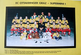 The Austria Supermini Ice Hockey Final 1994
