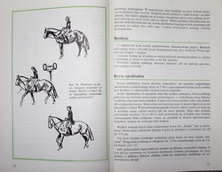 Horse riding for beginners
