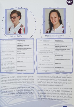 Hungarian national team at the 1st European Games Baku 2015 (Hungary)