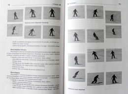 Theoretical foundations of selected winter disciplines