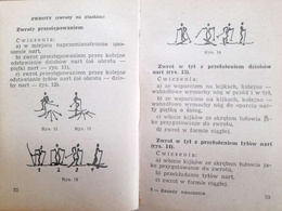 Teaching skiing in the mountains and lowlands