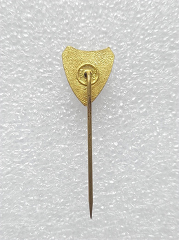 SD Iskra Bugojno badge with ball (Bosnia, lacquer, signed)