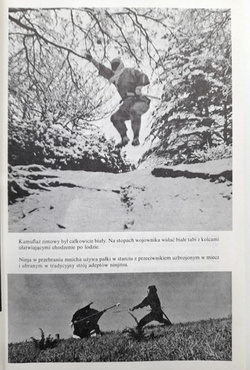 Ninja the Invisible Assasins