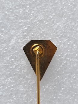 Cercle Omnisport Metz Bellecroix badge (France, epoxy)