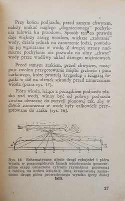 Rules of rowing (1950)