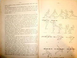 High jump (Polish Athletic Association)