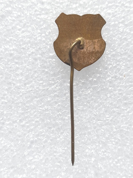  FK Krivaja Zavidovići badge (Bosnia, epoxy)