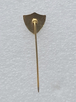 EC Noroeste Bauru crest badge (Brazil, enamel)