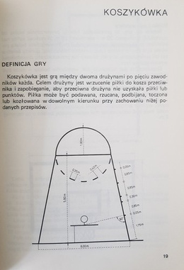 Team sports games. Rules