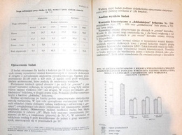 Symmetry and assymetry of movement in sport