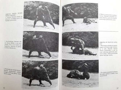 Ninja the Invisible Assasins